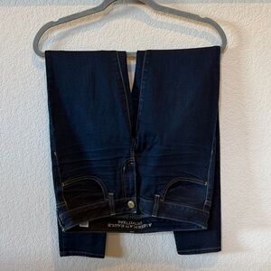 American Eagle Outfitters Dark Blue Skinny Jeans